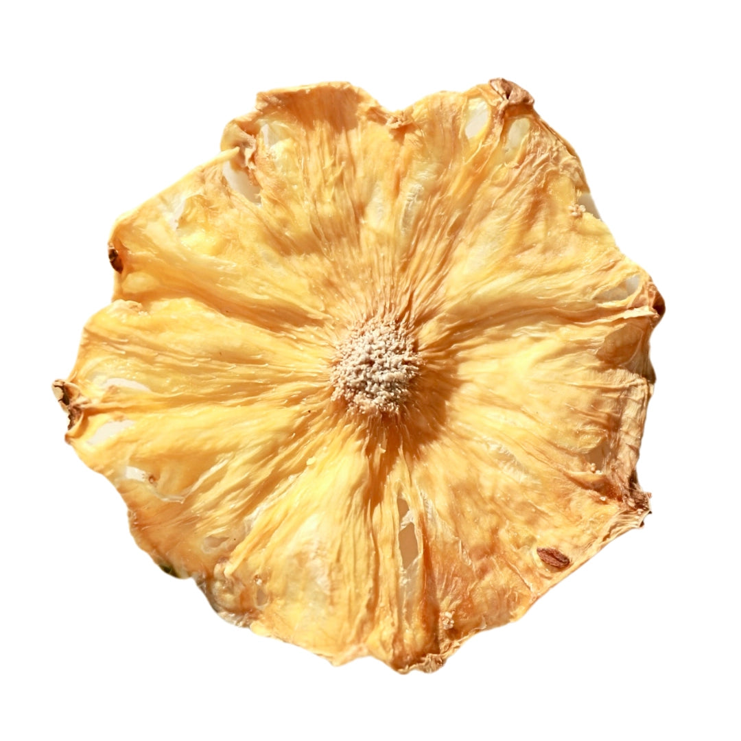 Dehydrated Pineapple - Whole Slice