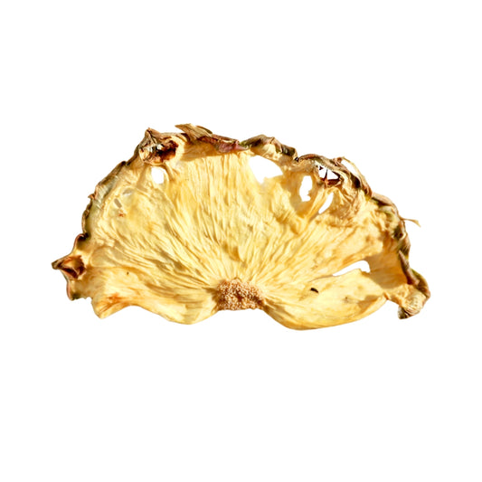 Dehydrated Pineapple - Half Slice